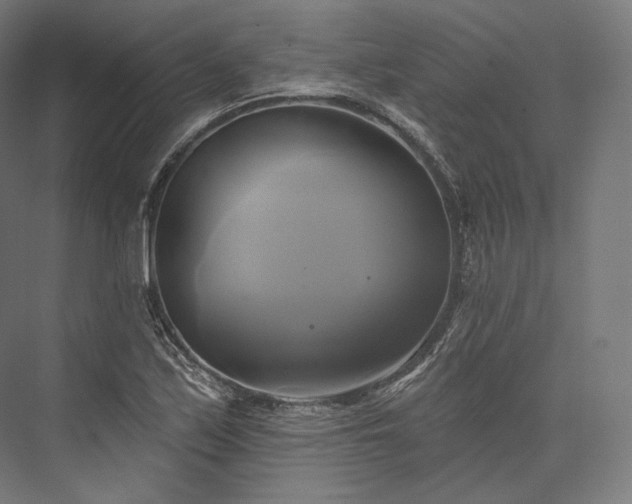 X0000076381171200610061117