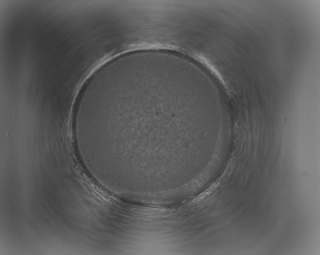 X0000076381173200610061117