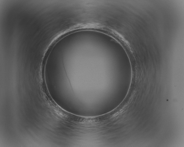 X0000076381174200610061117