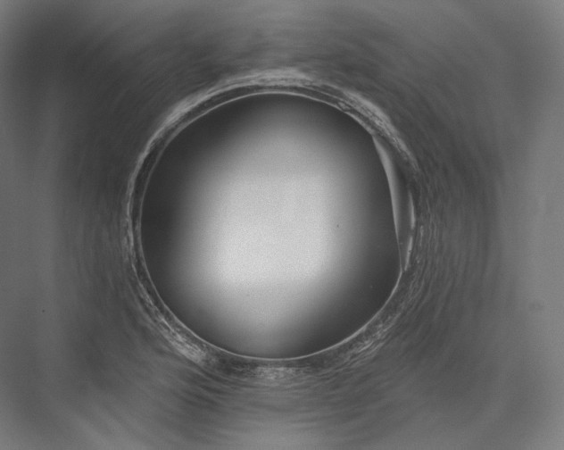 X0000076381176200610061117