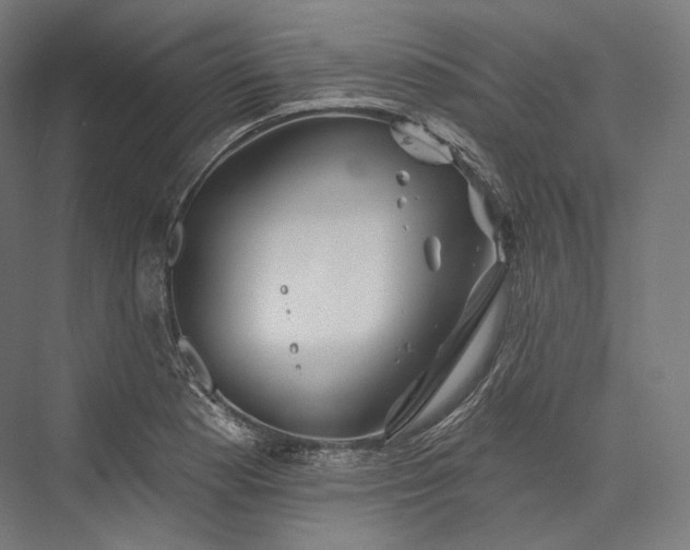 X0000076381177200610061117