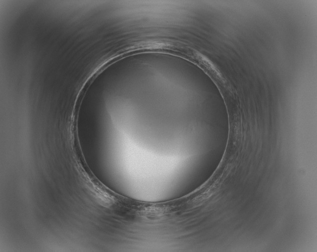 X0000076381178200610061117