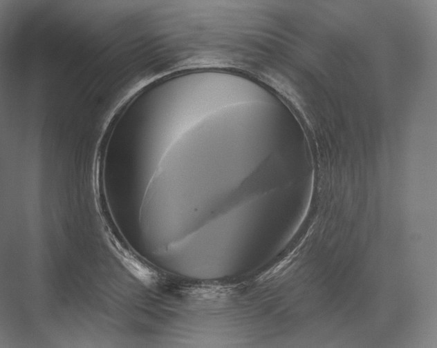 X0000076381179200610061116