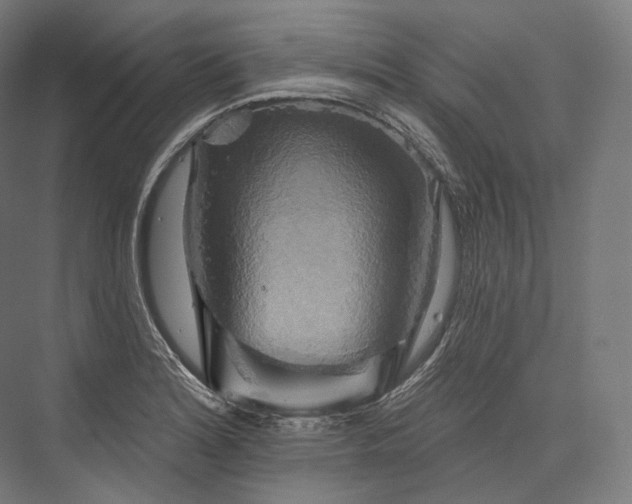 X0000076381180200610061116