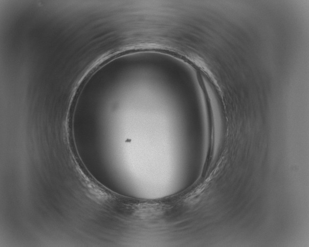 X0000076381181200610061116