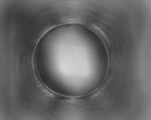 X0000076381182200610061116