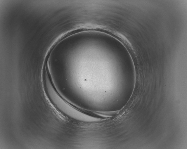 X0000076381183200610061116