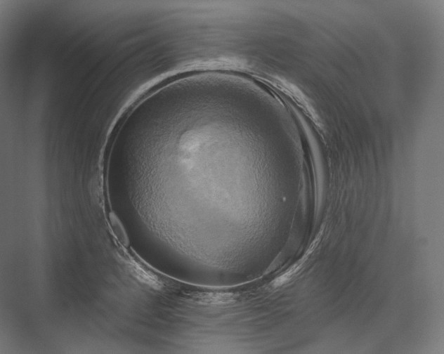 X0000076381184200610061116