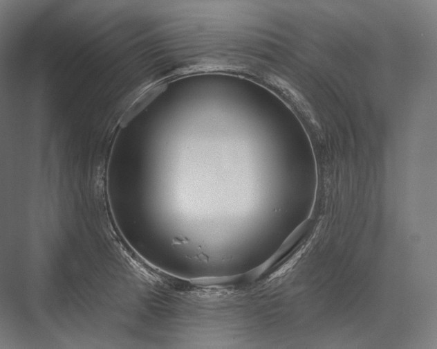 X0000076381185200610061116