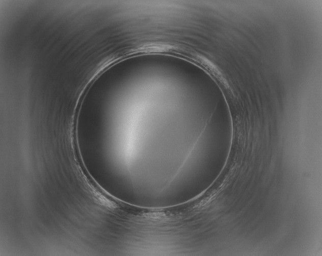 X0000076381186200610061116