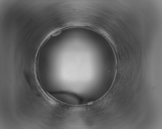 X0000076381187200610061116