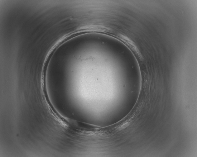 X0000076381188200610061116