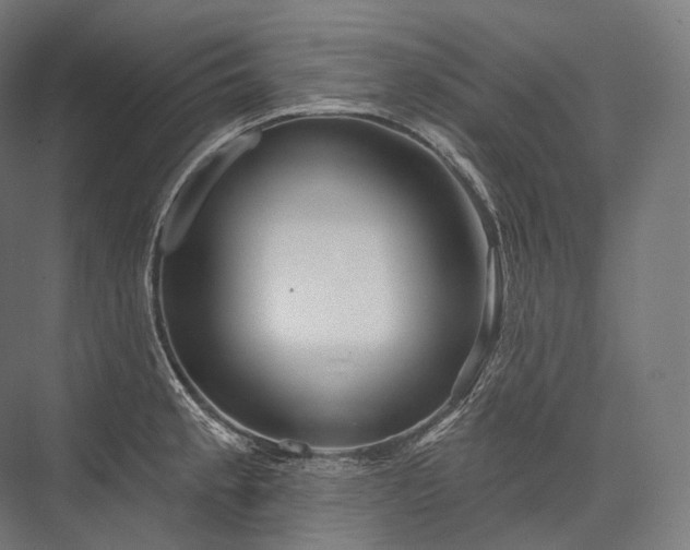 X0000076381189200610061116