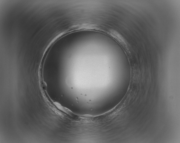 X0000076381190200610061116