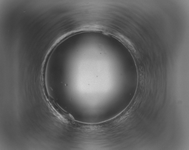 X0000076381192200610061116