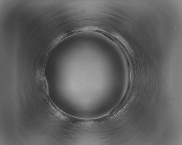 X0000076381193200610061116