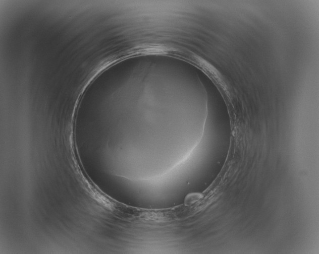 X0000076381194200610061116