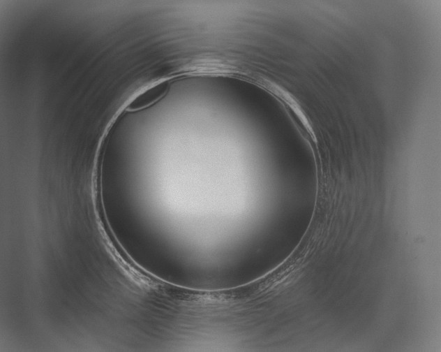 X0000076381195200610061116