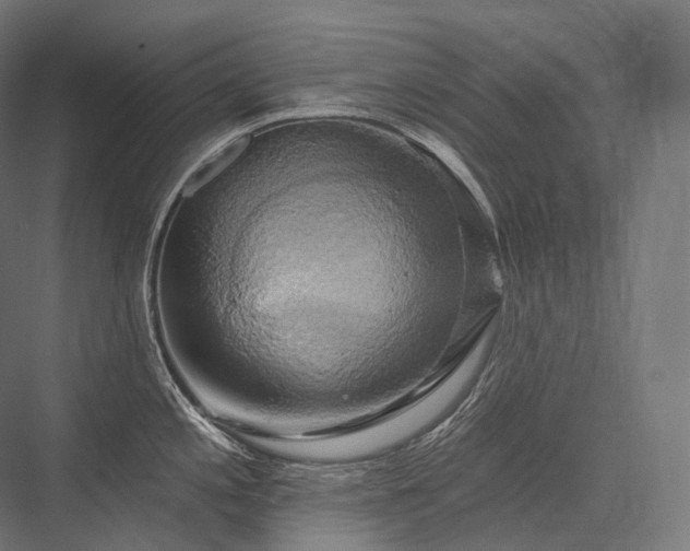 X0000076381197200610061116