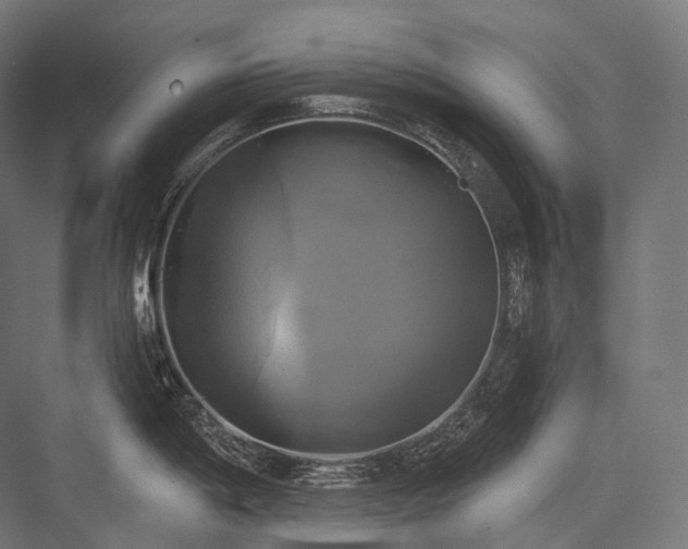 X0000076381198200610061116