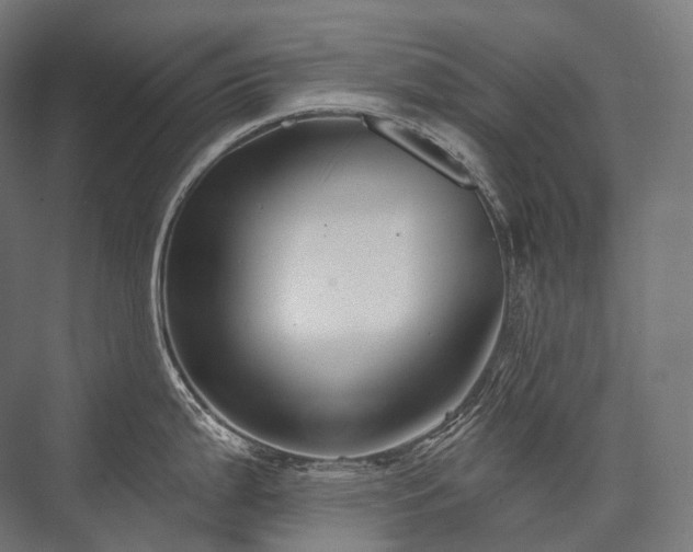 X0000076381199200610061116