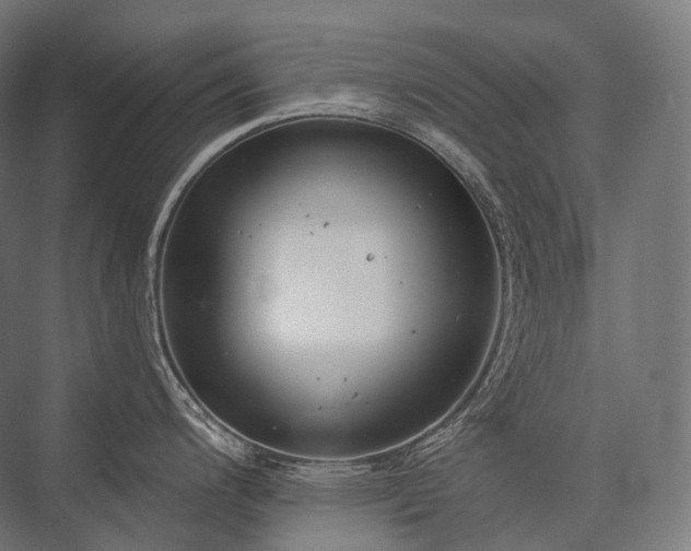 X0000076381200200610061116