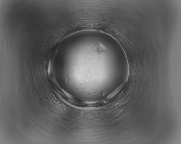 X0000076381202200610061115