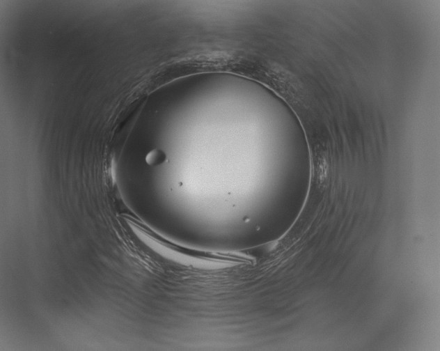 X0000076381204200610061115