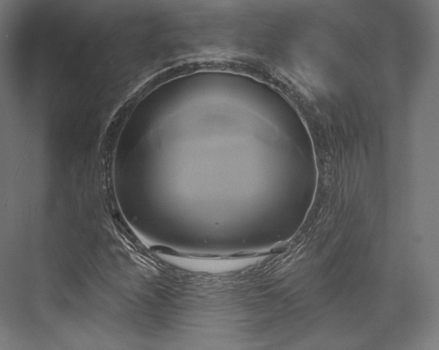 X0000076381208200610061115