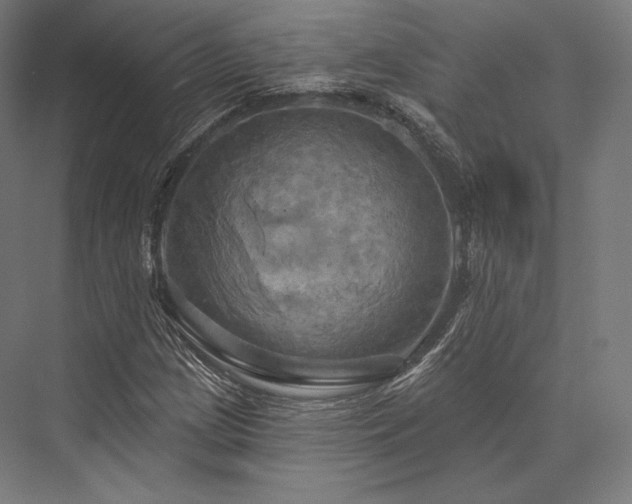 X0000076381209200610061115