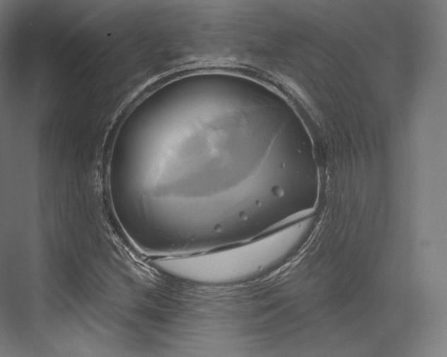 X0000076381212200610061116