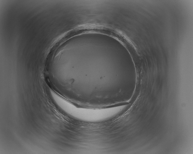 X0000076381213200610061116