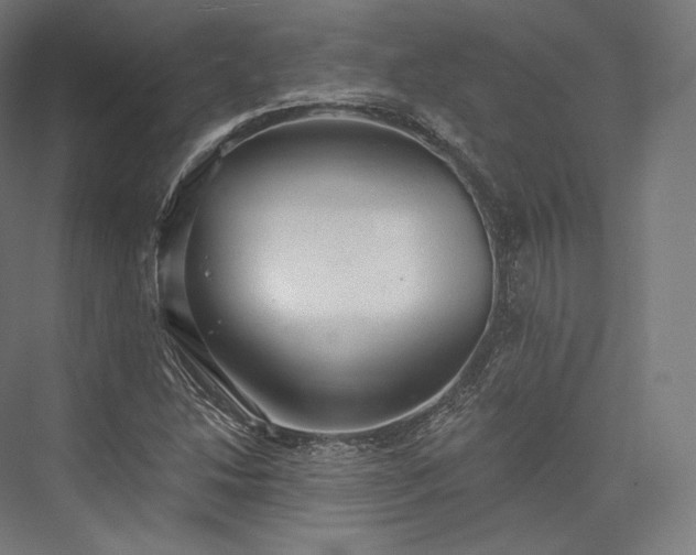 X0000076381214200610061116