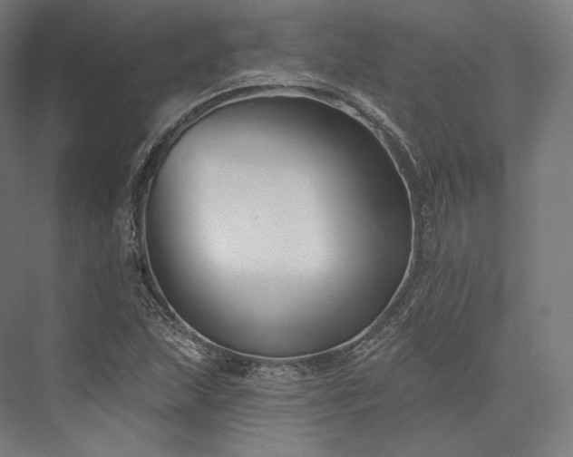 X0000076381215200610061116