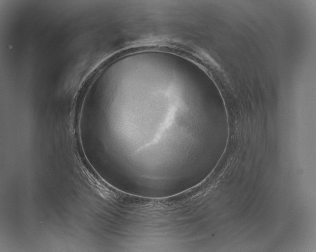 X0000076381216200610061116