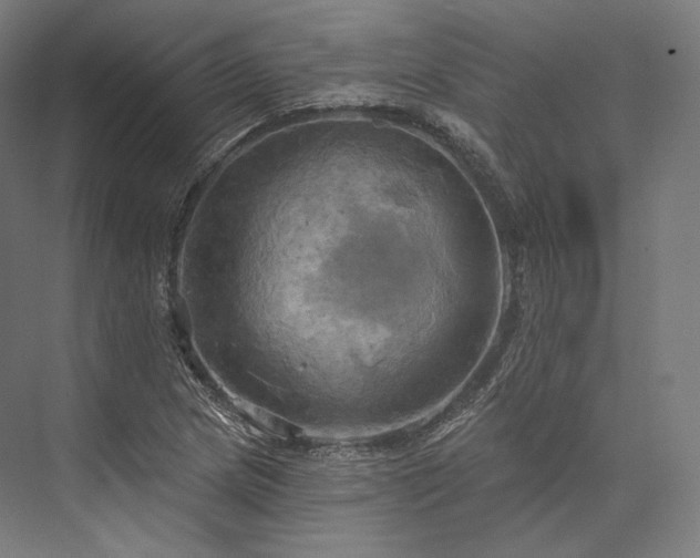 X0000076381217200610061116