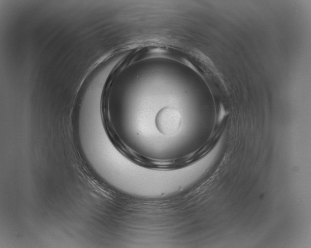 X0000076381218200610061116