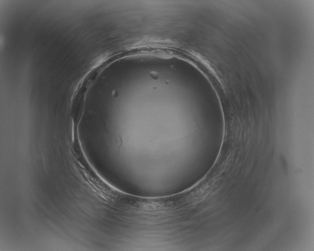 X0000076381219200610061116