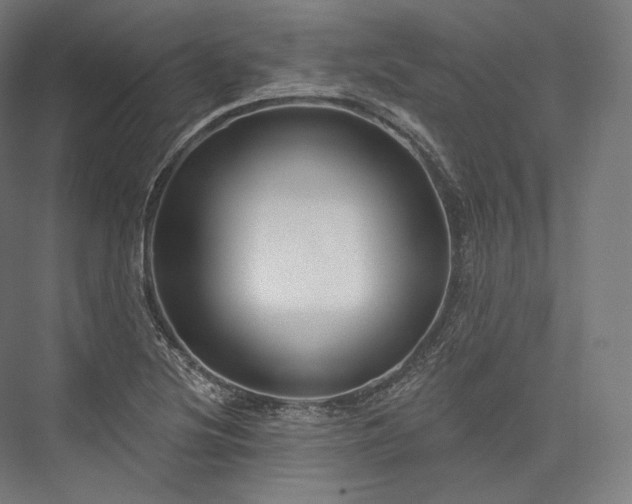 X0000076381220200610061116