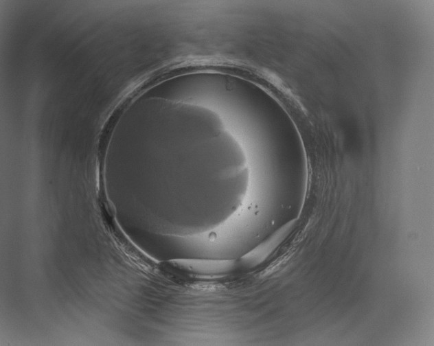 X0000076381221200610061116