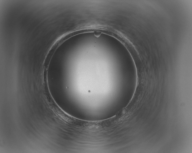 X0000076381222200610061116