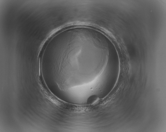 X0000076381223200610061116