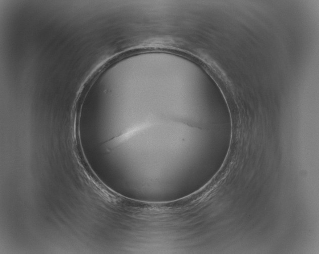 X0000076381224200610061116