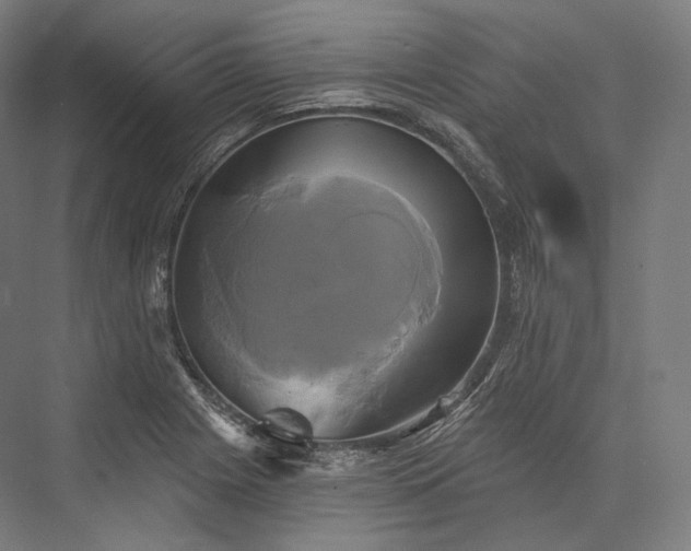 X0000076381225200610061116