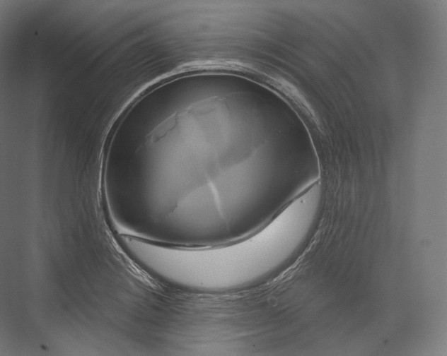 X0000076381228200610061116