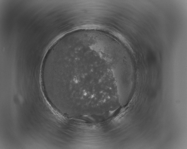 X0000076381229200610061116