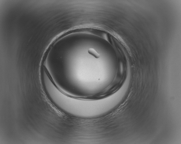 X0000076381230200610061116