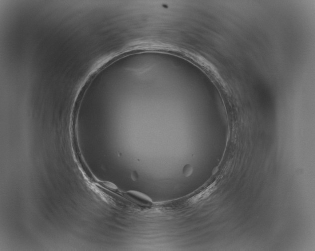 X0000076381231200610061116