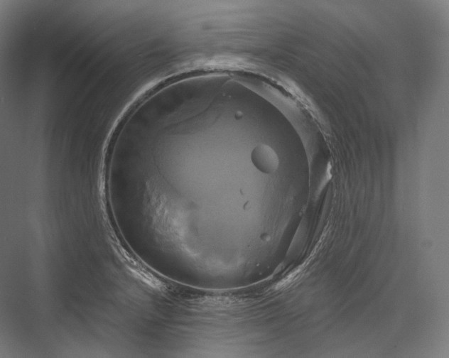 X0000076381232200610061116