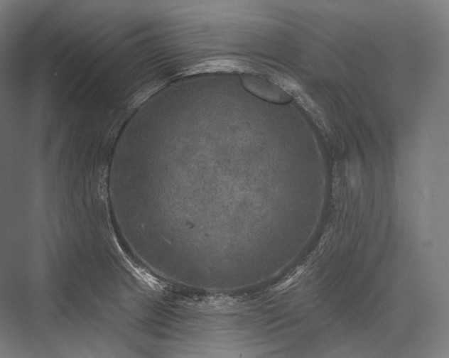 X0000076381233200610061116